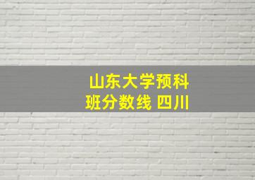 山东大学预科班分数线 四川